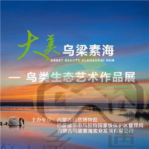 大美乌梁素海——鸟类生态艺术作品展